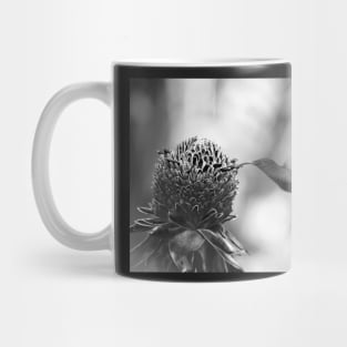 Colibri Mug